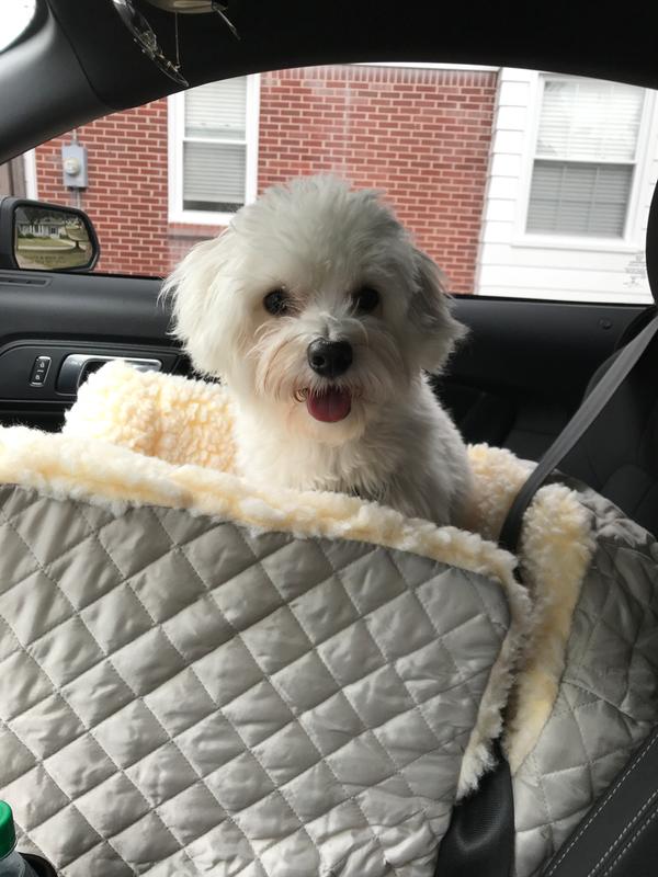 He loves his seat!!!