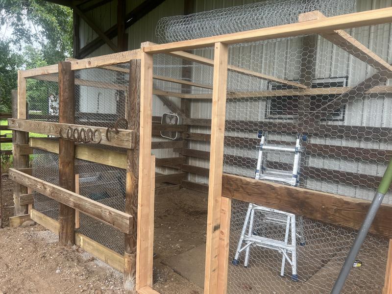 Building Chicken run