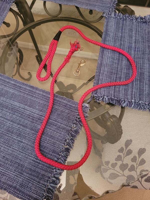 picture of leash and my dog's injury