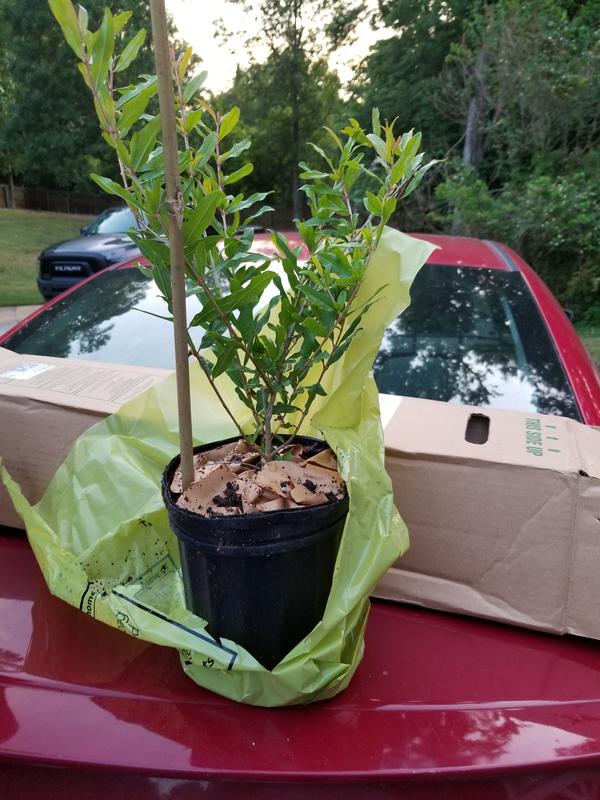 Smaller than expected but not displeased overall.