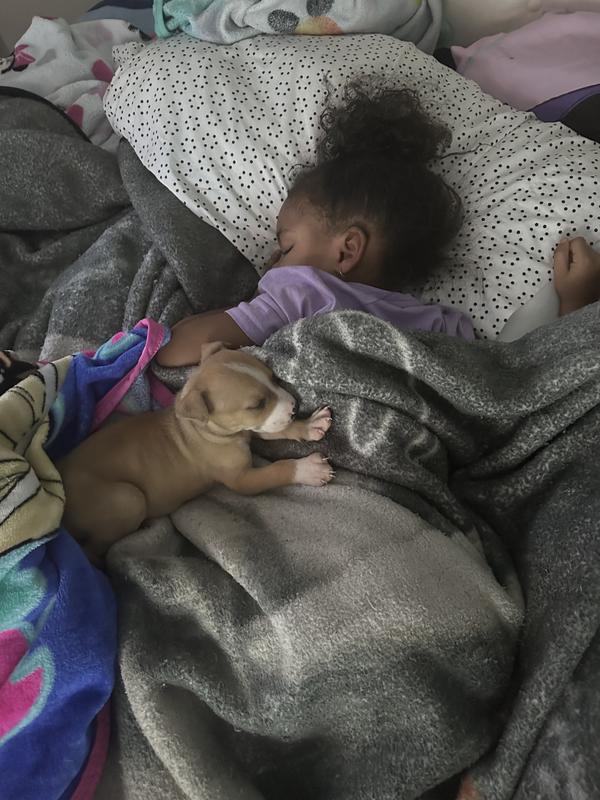 Him sleeping is before. My daughter holding him is after.