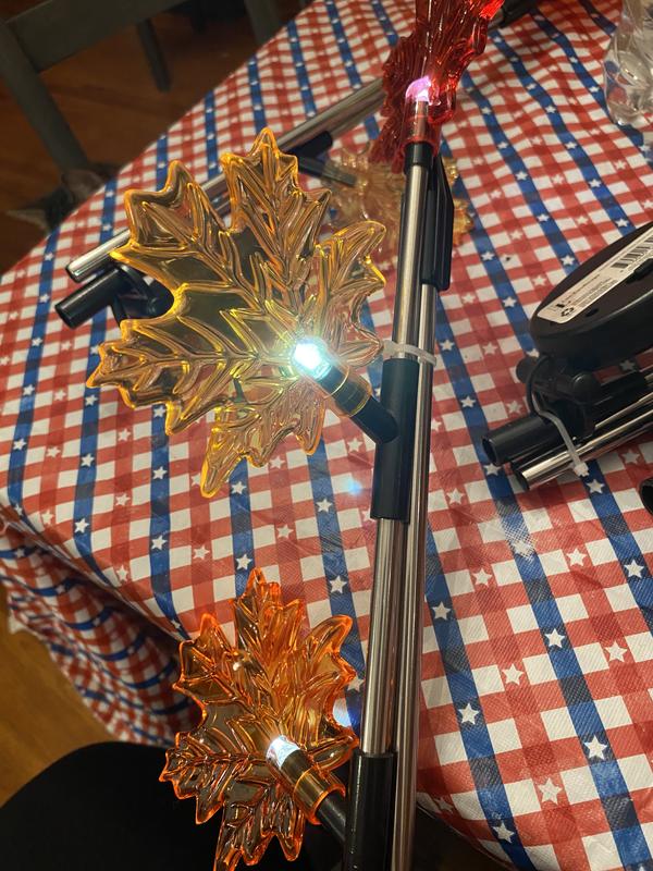 Maple leaves