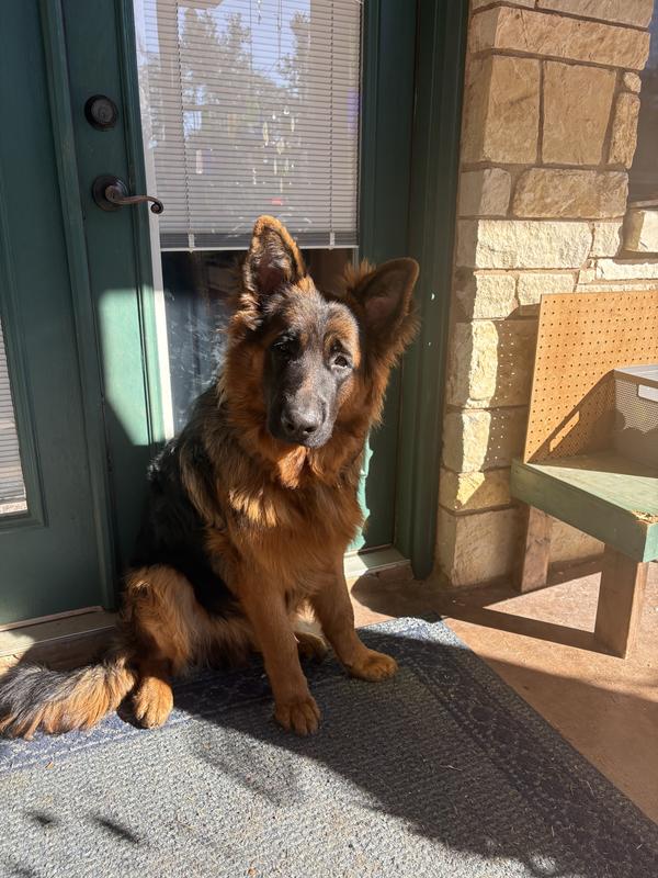 Nine months and growing well