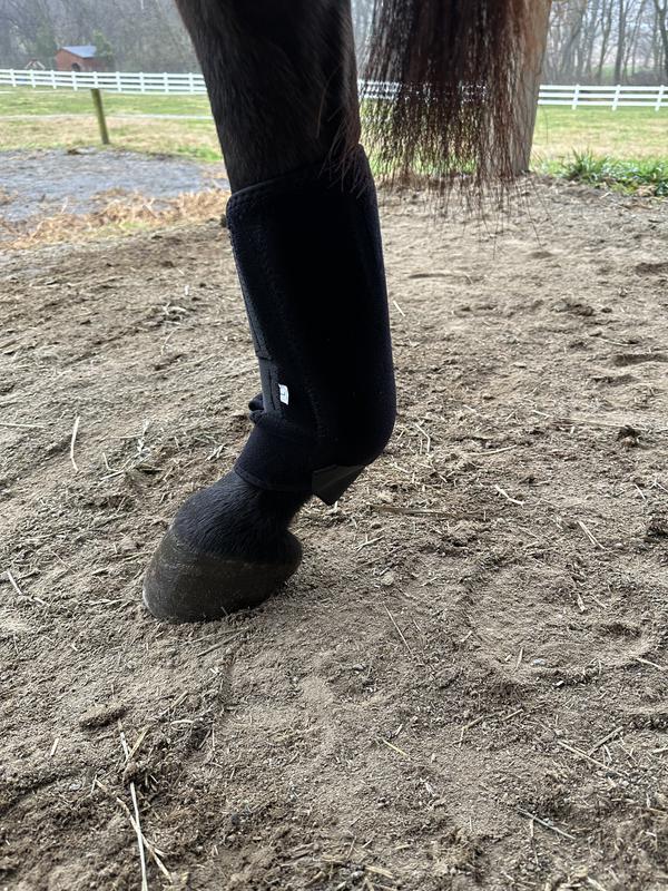 Very fitting despite my horses severe dropped fetlocks!