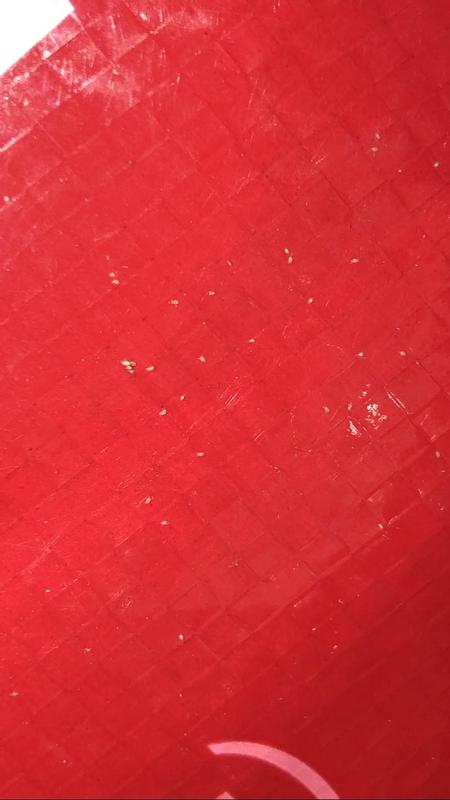 Mites on the Omolene bag