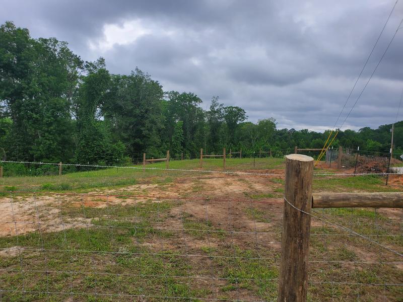Our fence lines