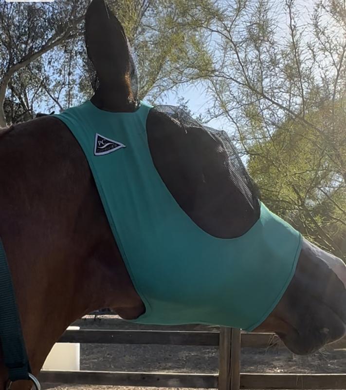 Cob size fit my AQHA