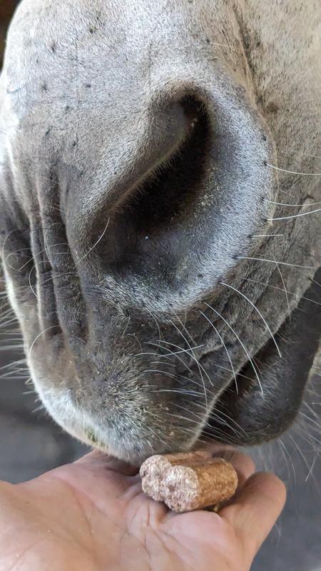 Finally getting my treat