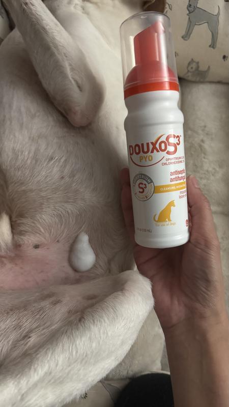 The secondary product I’m using (blister has remained dry and not oozing since the bath with the Durvet liquid)