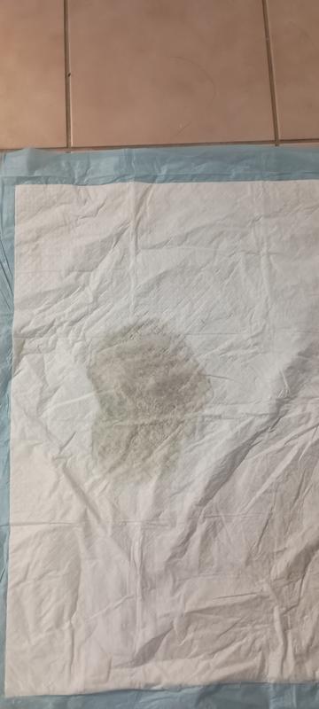 Sample of the pee pads from day one to day 3 ,