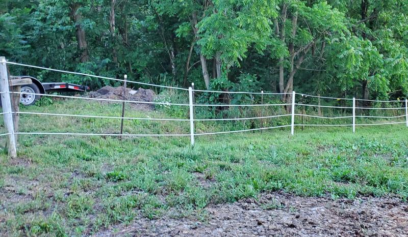 Replaced my barbed wire fence with white lightning.