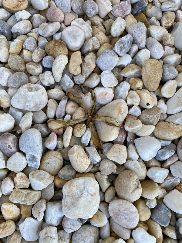 About an hour after spraying.