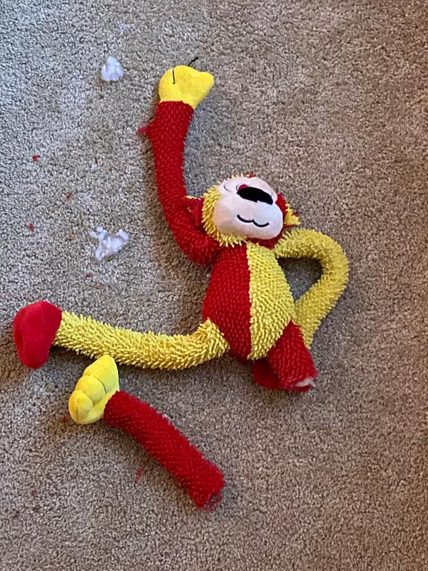 Lost a leg and the tail.