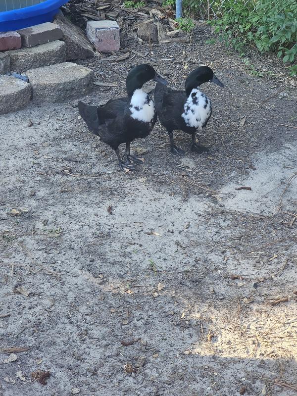 All grown up and full of personality