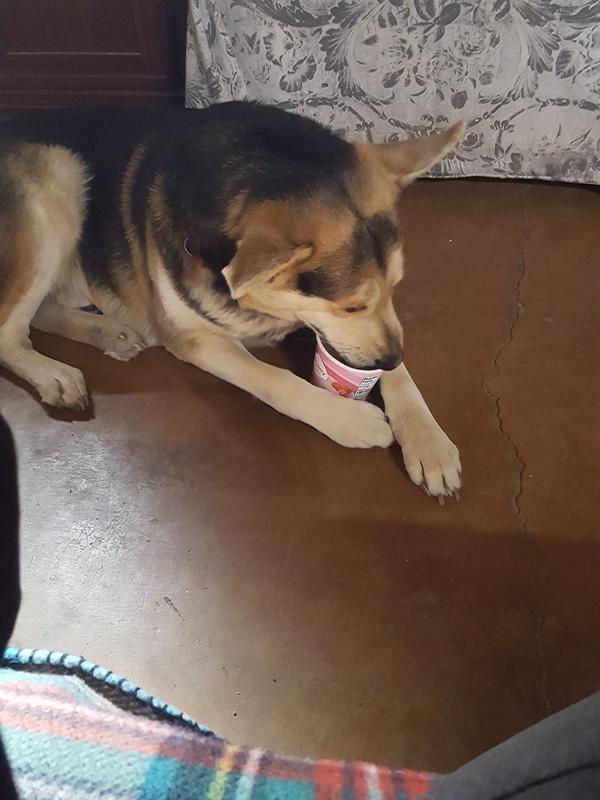 Prince Charming loves to eat ice cream.