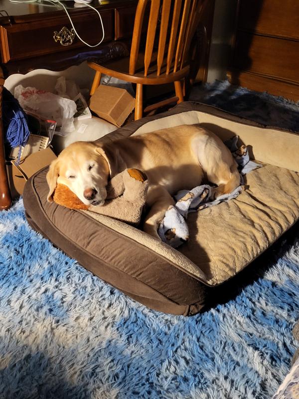 Bella bed