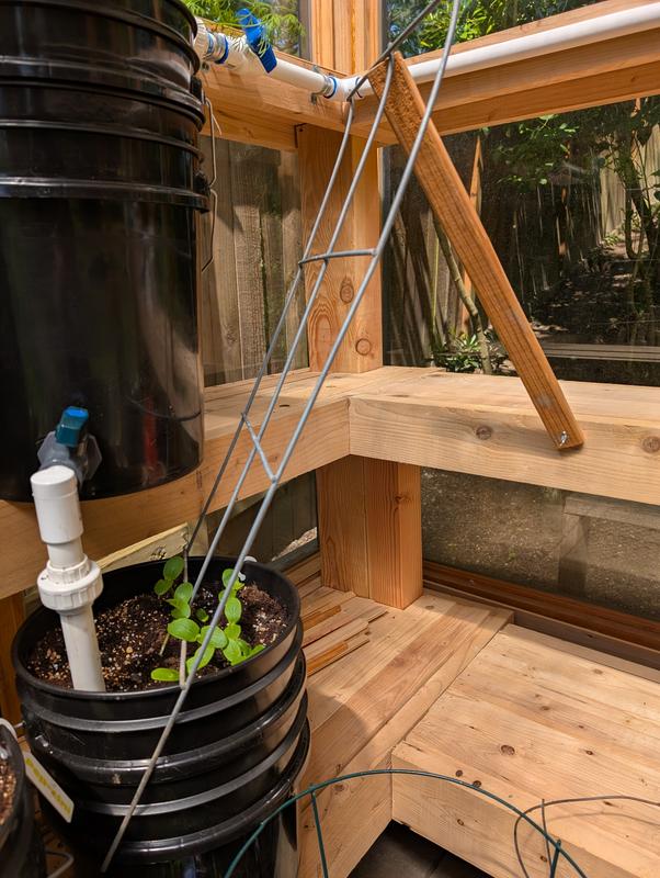 Greenhouse trellis