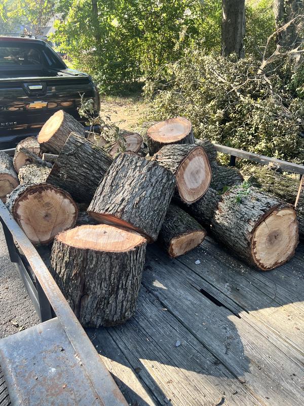 It’s an absolute WORKHORSE!