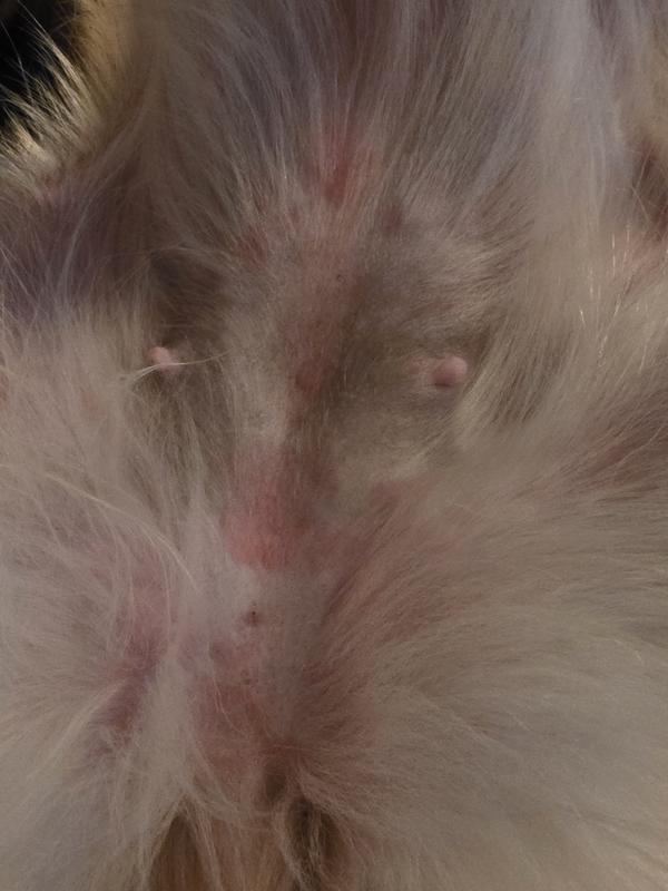 This is when I first noticed.  It got way worse.