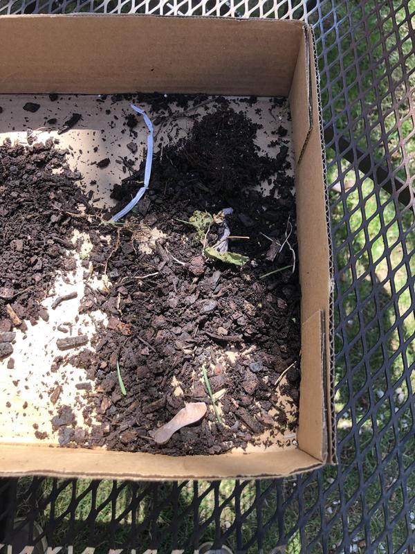 Where’s the plant?