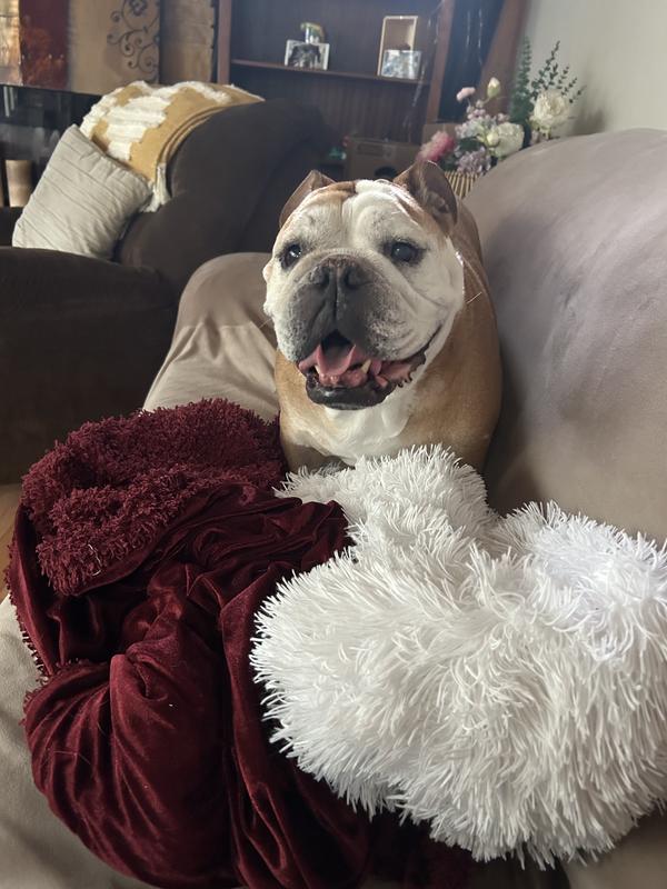 Maggie Mae