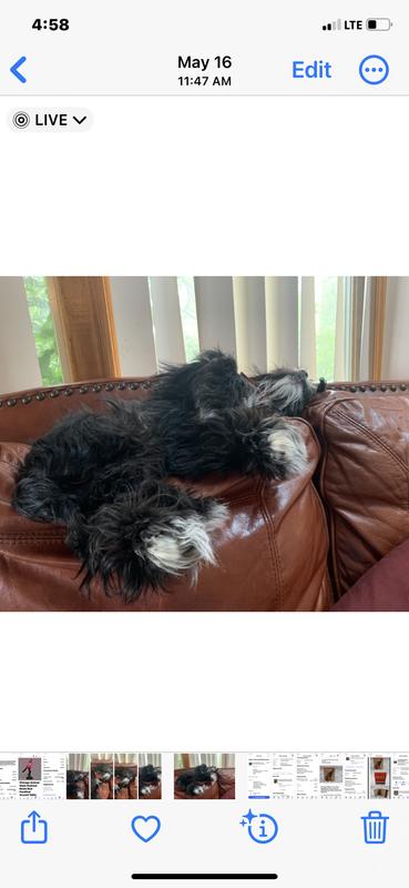 Relaxing on the couch!