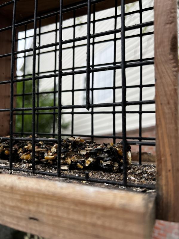 Where we had to cut the wren out