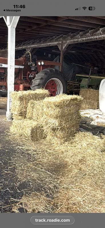 horrible looking hay