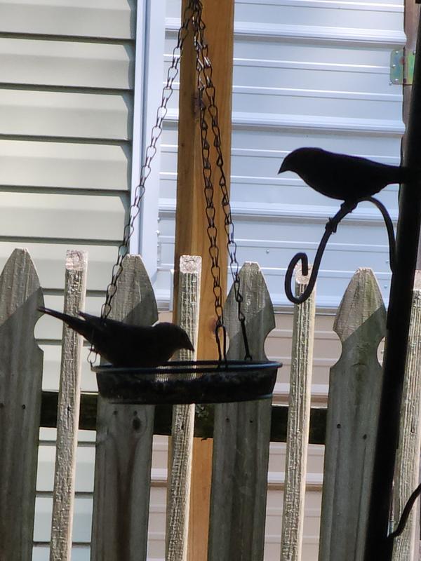 Review photo 4.