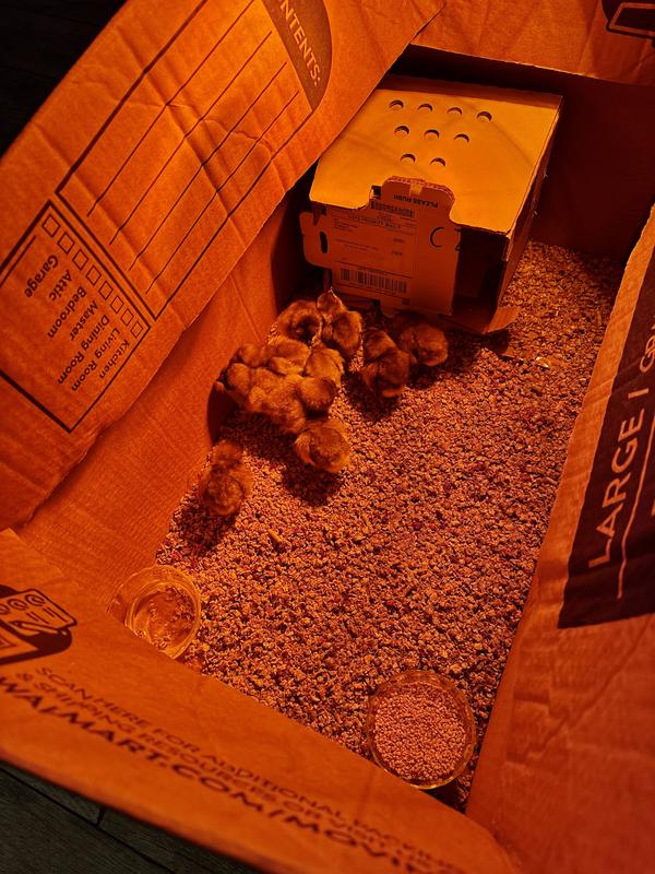Review photo 1.