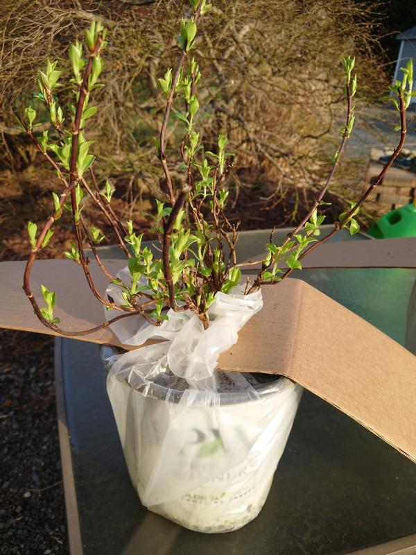 upon arrival, immediately after removing from box