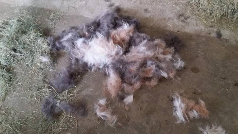 after just ten minutes.... :)