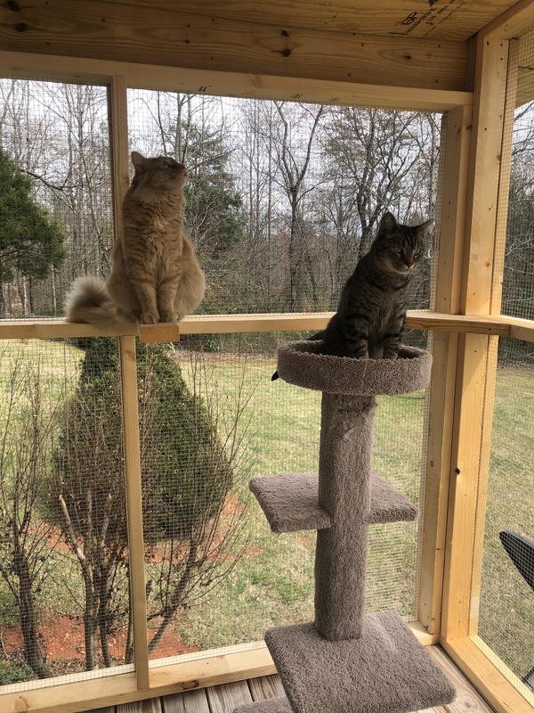 Stills needs some interior work and painting.