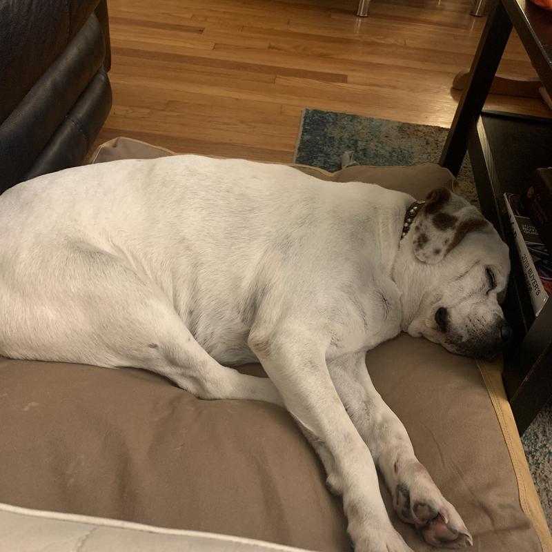 Living his Best Life!