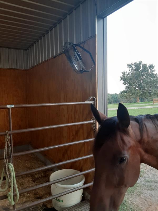 Someone was curious ;)