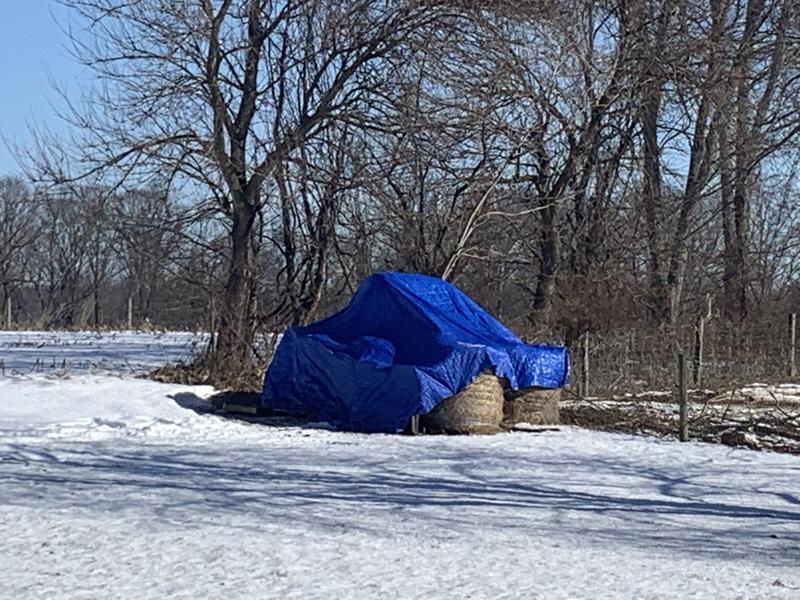 8 round bales + 1 on top