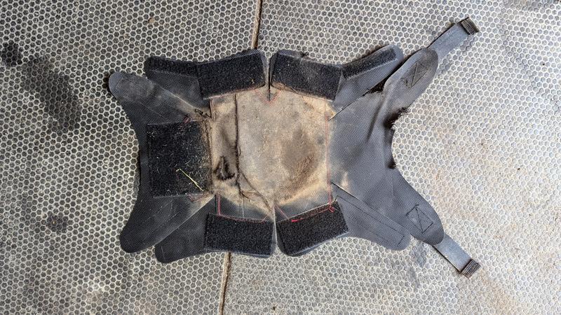 The bottom after overnight turnout