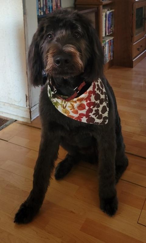 Winston