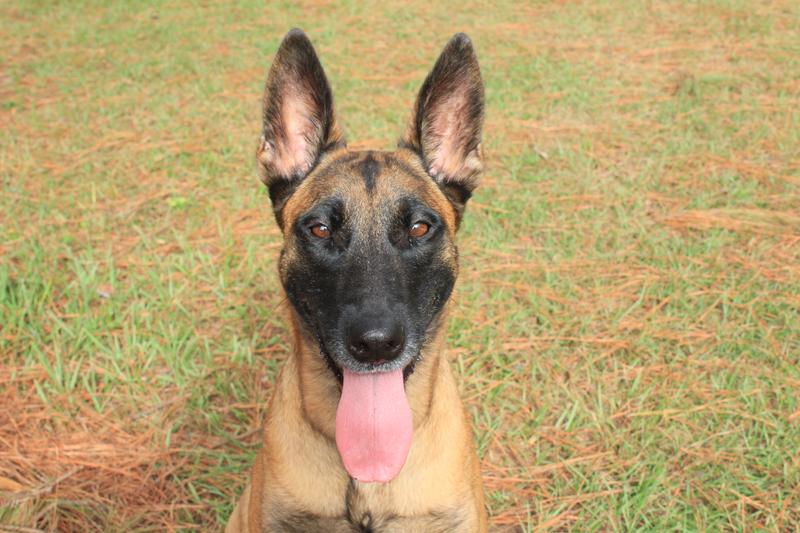 Her appetite has increased tremendously!