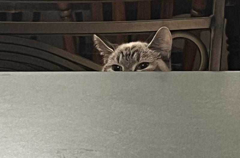 She’s watching me open it