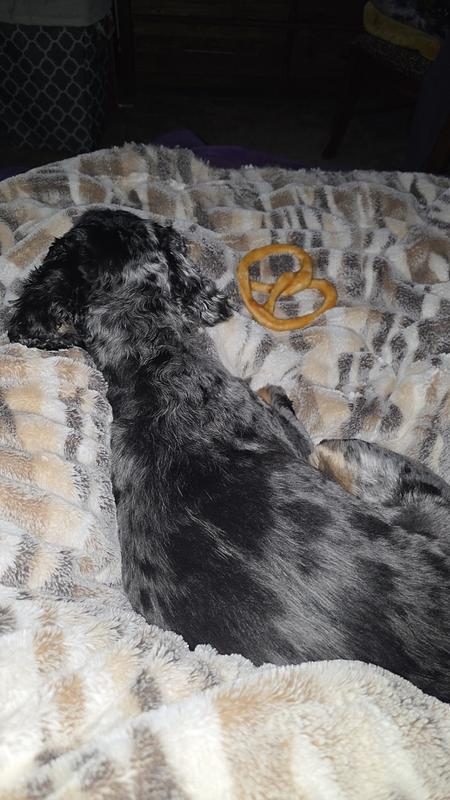 Very proud of her pretzel