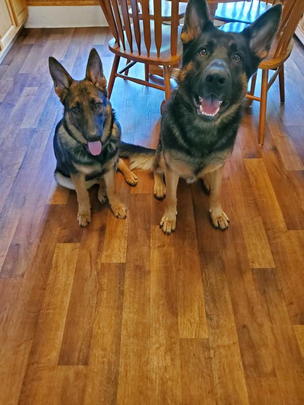 Reuben and Luka, my boys!!!