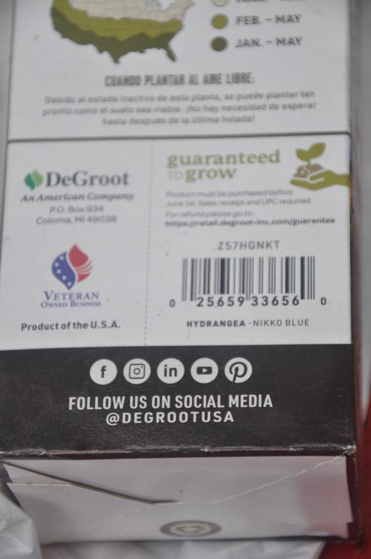 DeGroot Hydrangea Nikko Blue dead at purchase