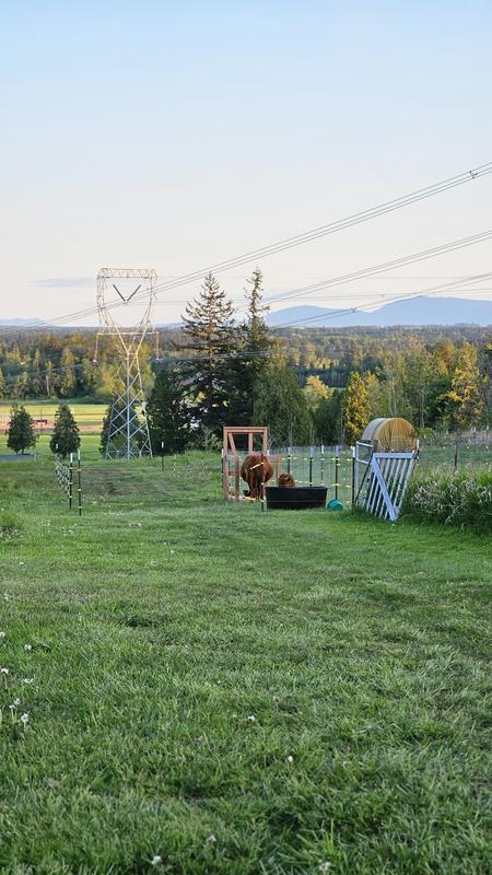 Keeps the hotwire in place and the cows in