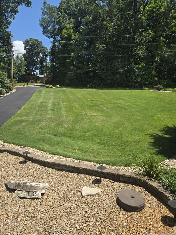 Front yard