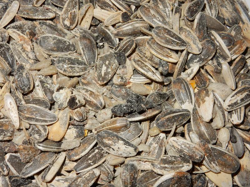 more of the contents