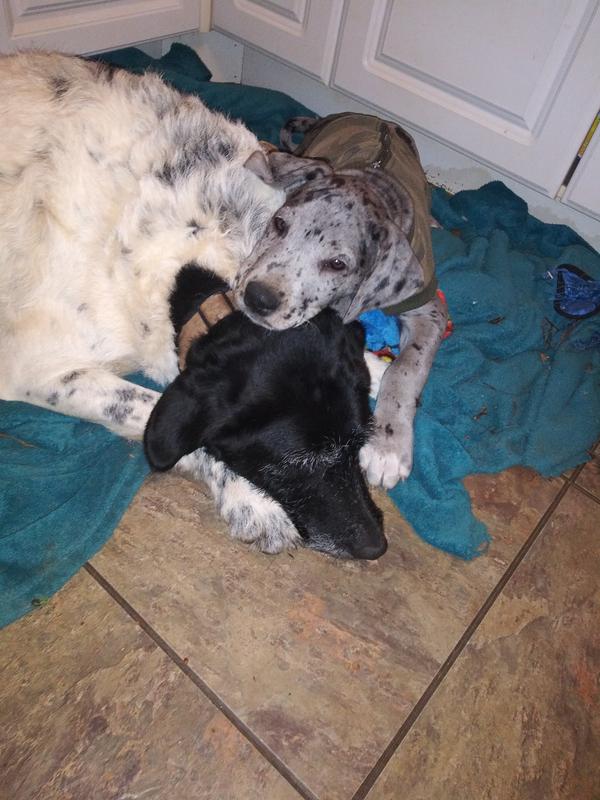 My babys