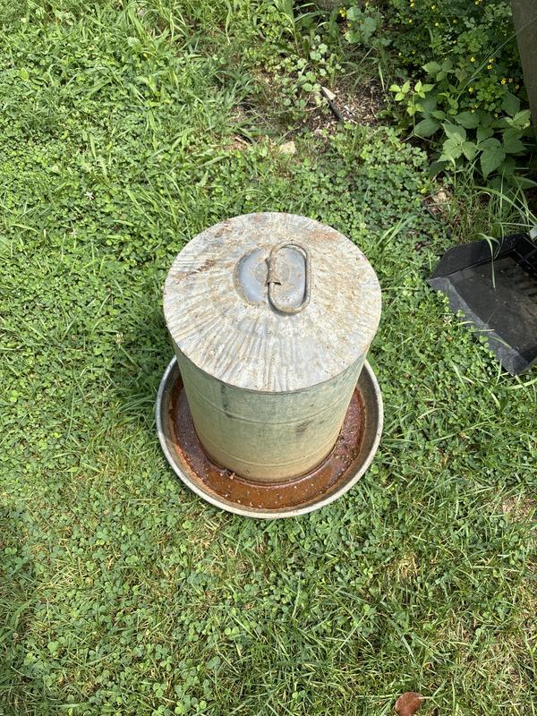 Little Giant Double Wall Metal Poultry Fount 2 Gal