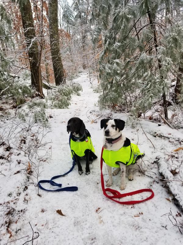 Winterwonderland hike