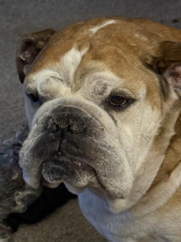 Winston